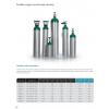 Portable oxygen converter gas cylinders 4.6 Lite شػóѧ OXYGEN    Ҵ 4.6 Ե  Ѻ
